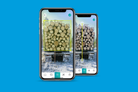 Специалистов лесной промышленности научат методам цифрового измерения объемов древесины